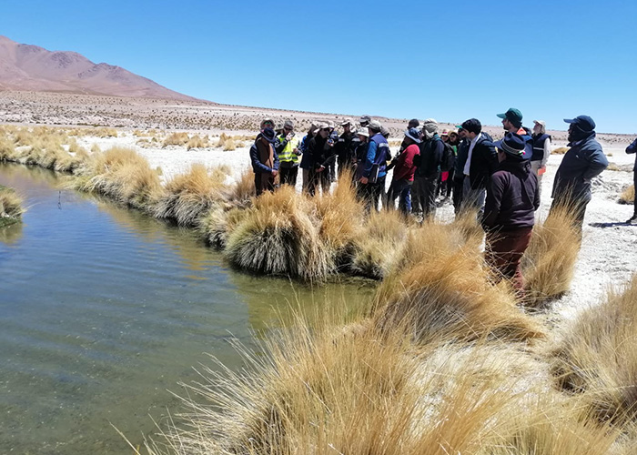 Primer Tribunal Ambiental acoge reclamación de asociación de Coposa en contra del programa de cumplimiento de minera Collahuasi