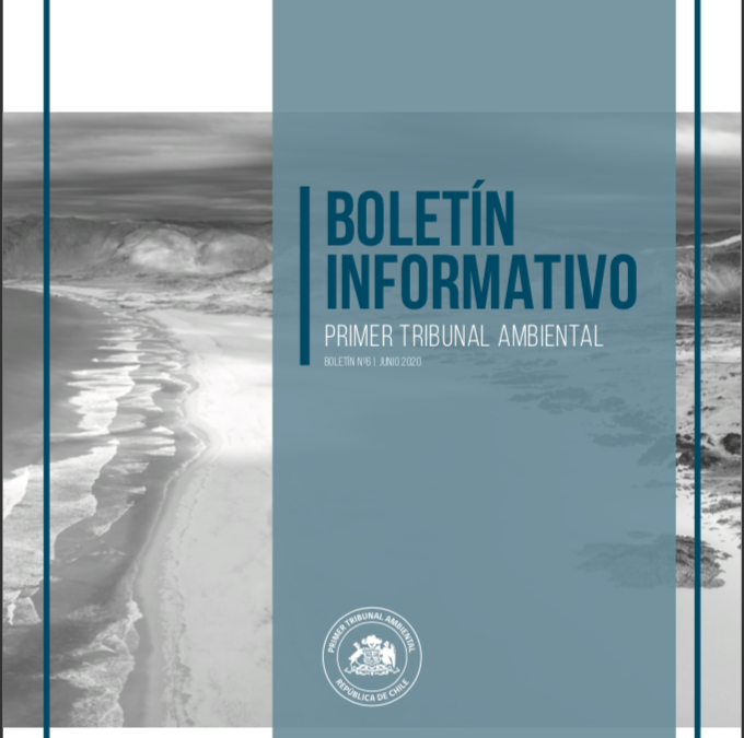 Boletín Nº6 – Junio 2020