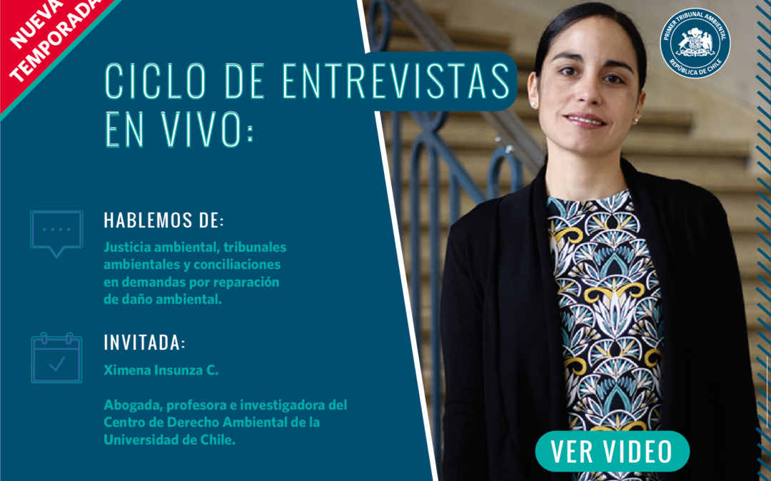 Ciclo de Entrevistas: Ximena Insunza C.