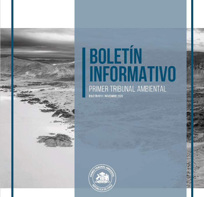 Boletín N°11-noviembre