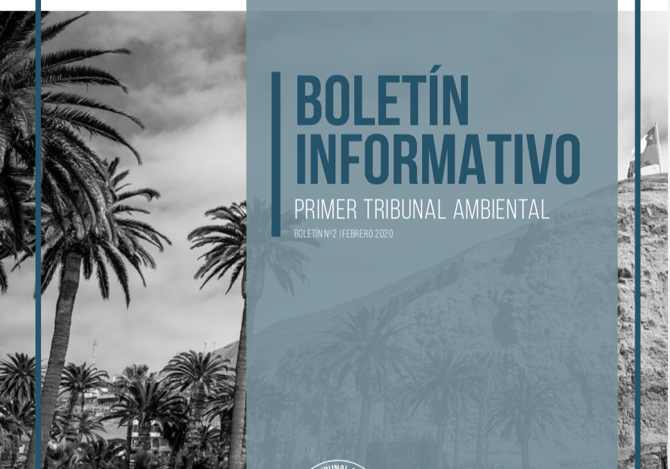 Boletín Nº 2 – Febrero 2020