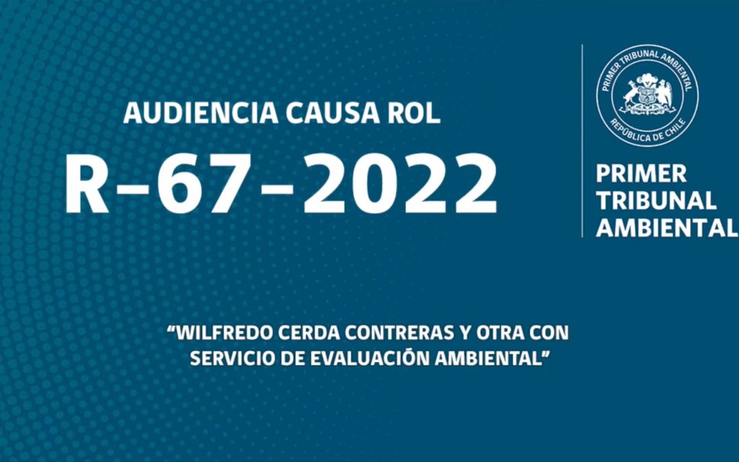 R-67-2022: «Wilfredo Cerda Contreras y otra con Servicio de Evaluación Ambiental»