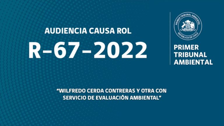 R-67-2022: «Wilfredo Cerda Contreras y otra con Servicio de Evaluación Ambiental»