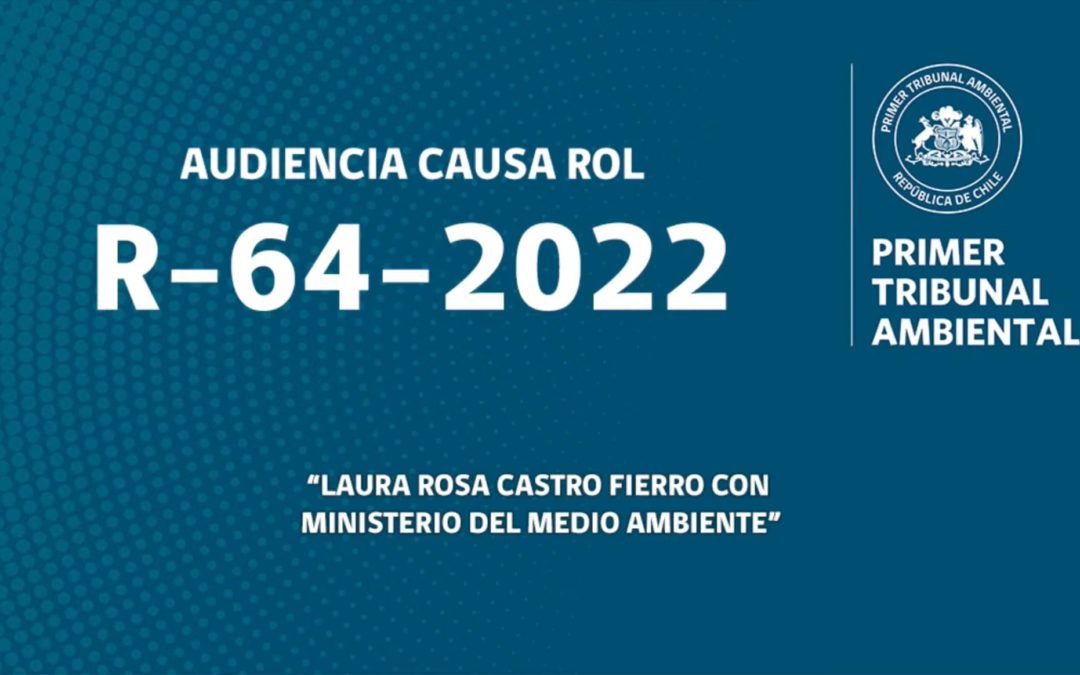 R-64-2022: «Laura Rosa Castro Fierro con Ministerio del Medio Ambiente»