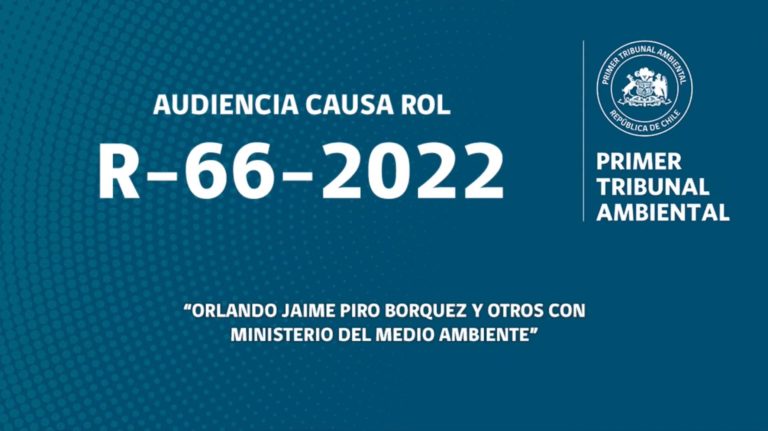 R-66-2022: «Orlando Jaime Piro Borquez y otros con Ministerio del Medio Ambiente»