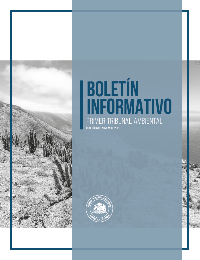 Boletín N°11 noviembre 2021