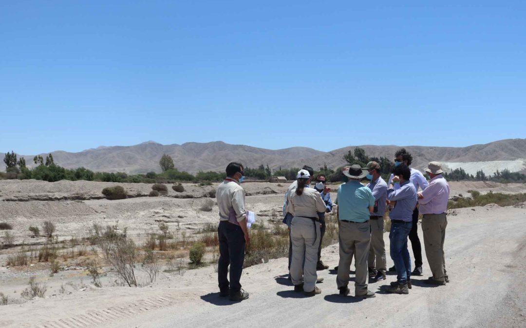 Visita inspectiva a Minera Candelaria