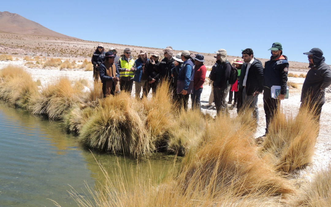 Visita inspectiva a Salar de Coposa