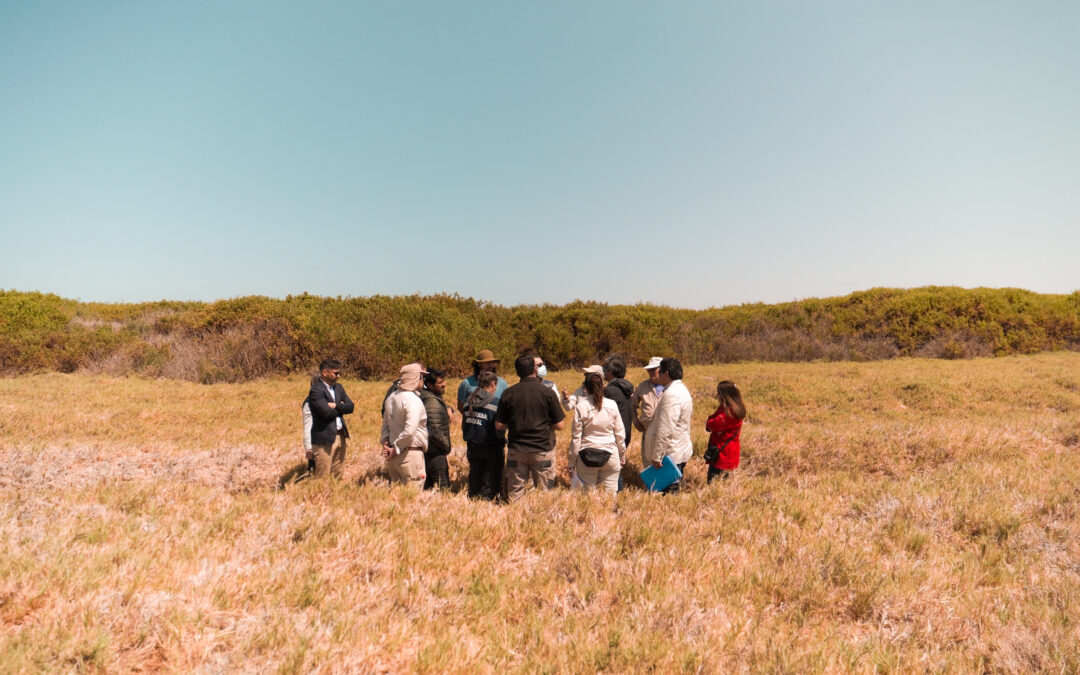 En diligencia inspectiva el Primer Tribunal Ambiental recorre humedal del Río Lluta