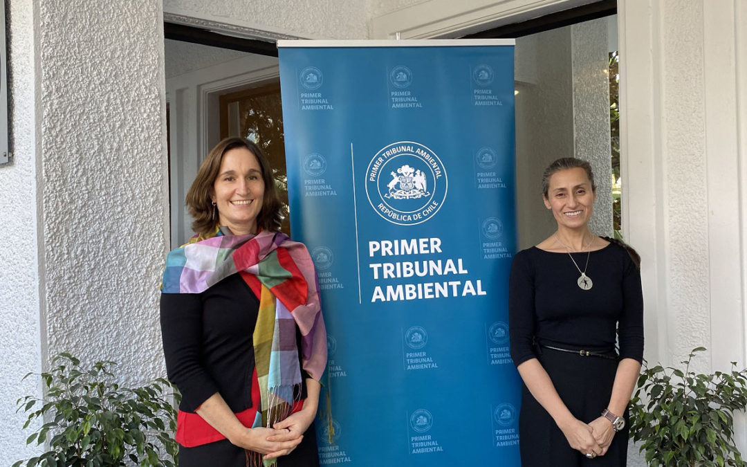 Ministra presidenta del Primer Tribunal Ambiental recibe saludo protocolar de la directora ejecutiva del SEA