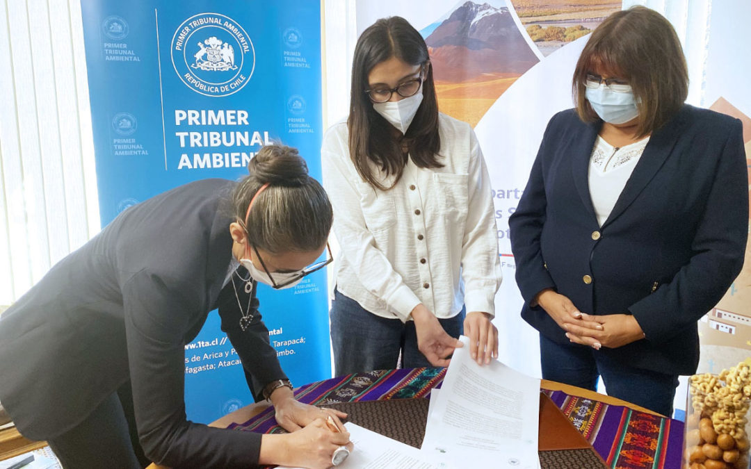 Primer Tribunal Ambiental y CONAF firman Convenio de Colaboración para realizar acciones conjuntas de protección al medioambiente