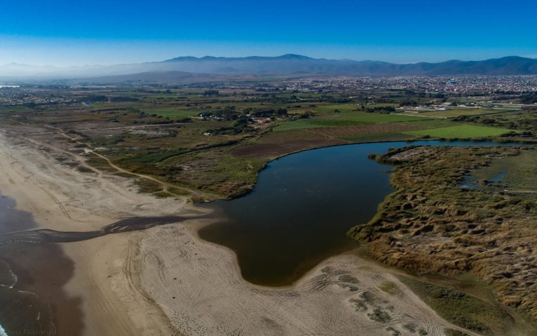 Dueños de predios pretenden revertir la declaración de humedal del Río Elqui