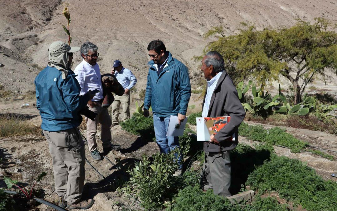 Inspección personal a zona de comunidad de Mamiña