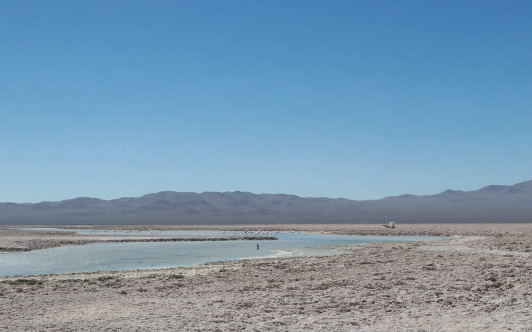 Acuerdo de Conciliación entre Consejo de Defensa del Estado, comunidades indígenas atacameñas y Minera Escondida con foco en la gobernanza socioambiental