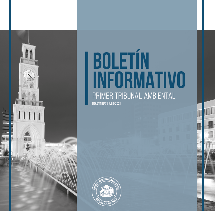 Boletín N°07 julio 2021