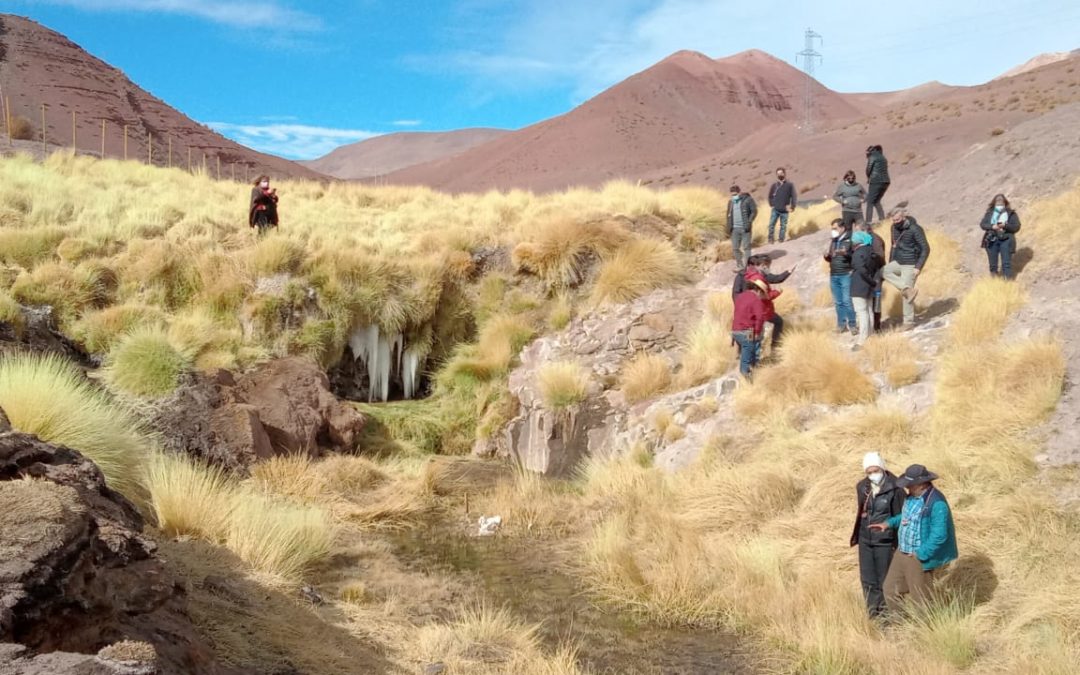 Con diversas consideraciones se aprueba avenimiento en demanda por daño ambiental en contra de Minera Maricunga