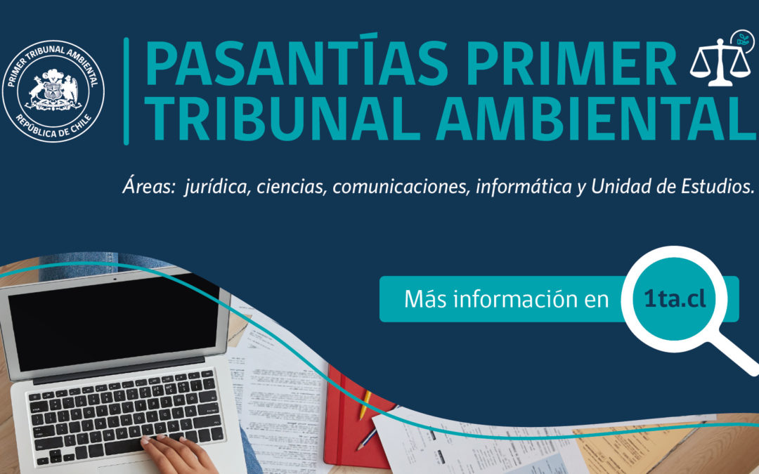 Primer Tribunal Ambiental realiza llamado a pasantías en diversas áreas