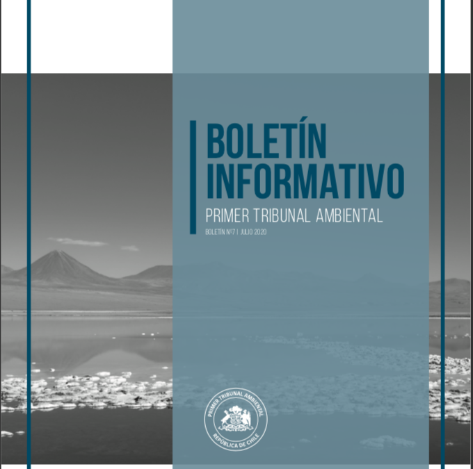 Boletín Nº7 – Julio