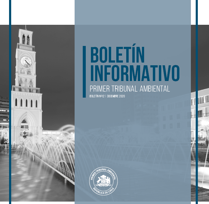 Boletín N°12-diciembre