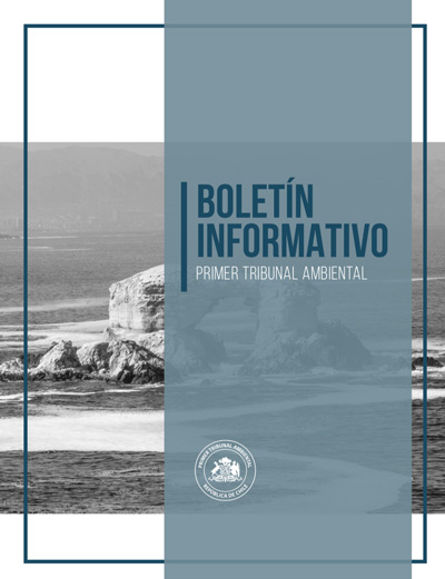 Boletín Nº 1 – Enero 2020