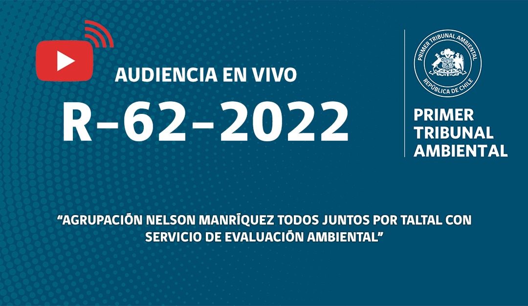 Ahora: audiencia «Agrupación Nelson Manríquez Todos Juntos por Taltal con Servicio de Evaluación Ambiental»