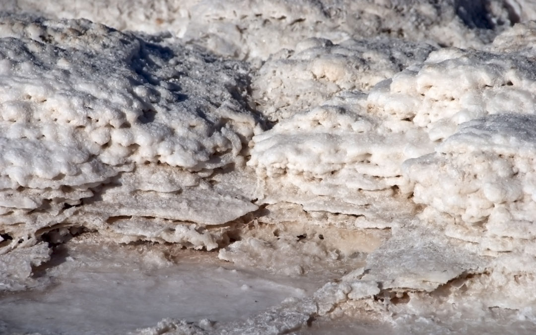 En acuerdo quedó reclamación de sociedad minera que pretende explotar salmueras en el Salar de Atacama