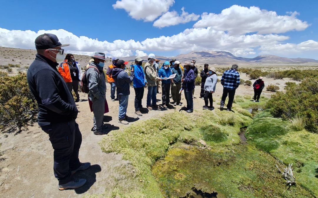 Primer Tribunal Ambiental dicta nueva medida cautelar en demanda por daño ambiental en contra de minera Cerro Colorado