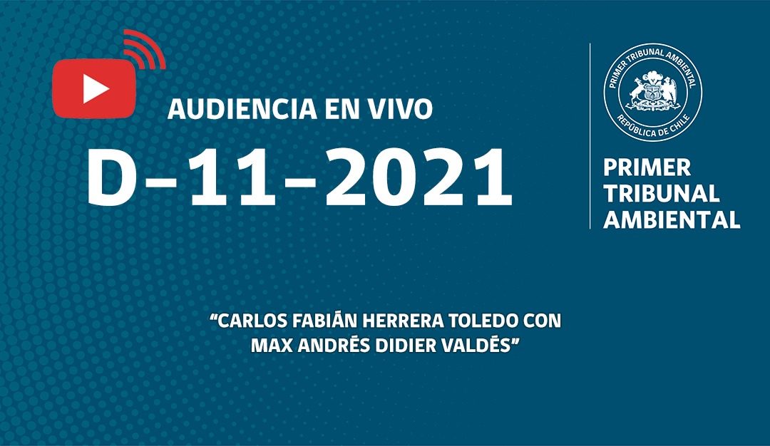 Ahora: audiencia D-11-2021 «Carlos Fabián Herrera Toledo con Max Andrés Didier Valdés»