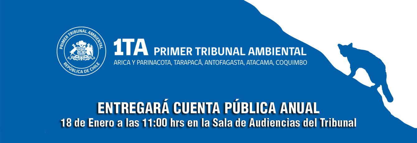 PRIMER TRIBUNAL AMBIENTAL ENTREGARÁ CUENTA PÚBLICA ANUAL