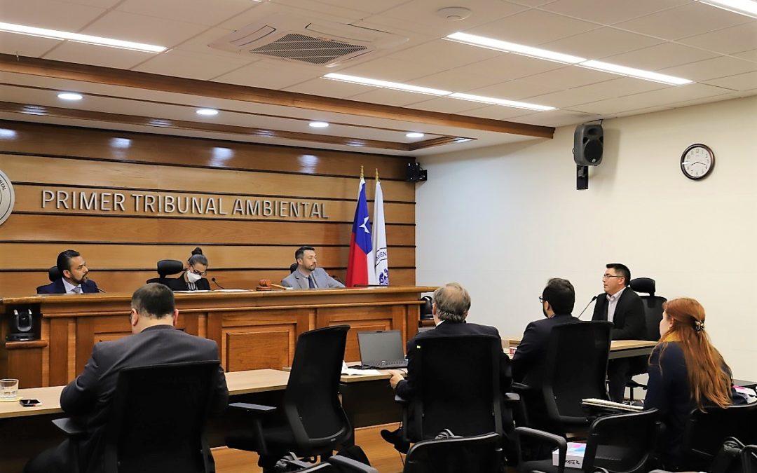 Con la presencia de nueve testigos se efectuó la audiencia de prueba de la demanda por daño ambiental en contra de Minera Los Pelambres