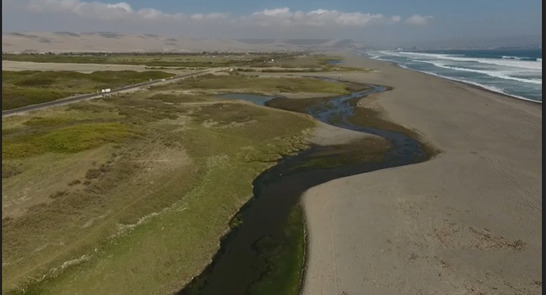 Se admite a trámite reclamación por protección del Humedal Urbano Desembocadura Río Lluta