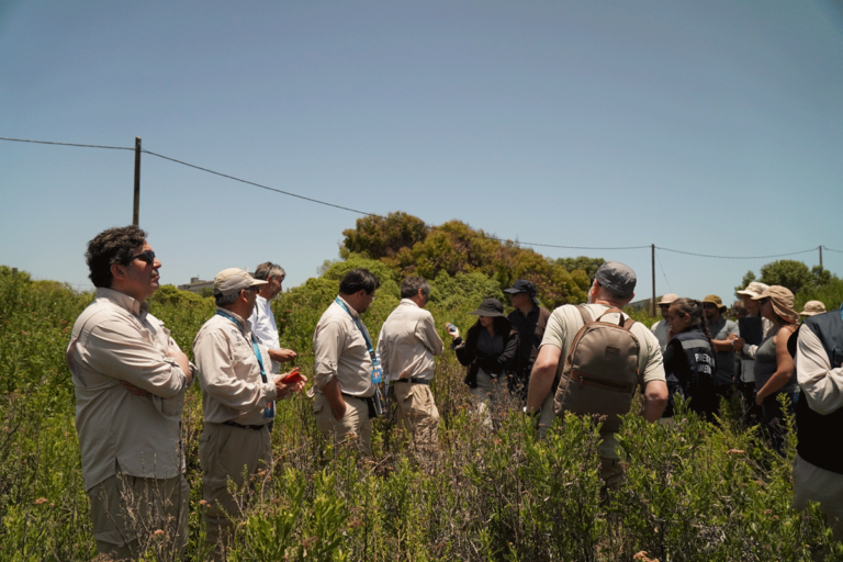 Primer Tribunal Ambiental llega hasta La Serena para recorrer humedal urbano de la desembocadura del Río Elqui