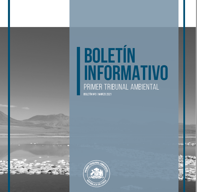 Boletín N°03 marzo 2021