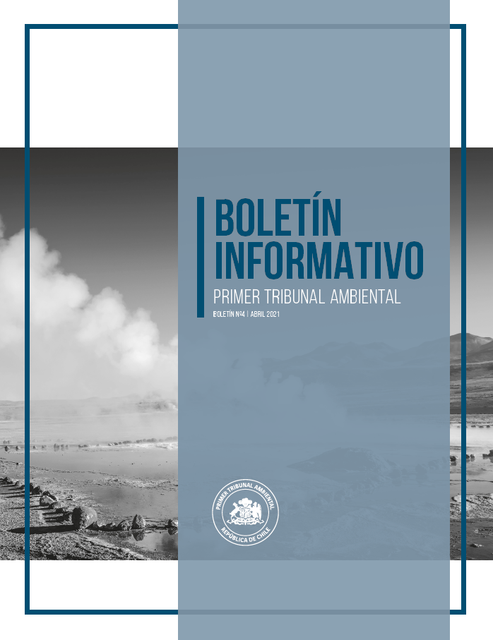 Boletín N°05 mayo 2021