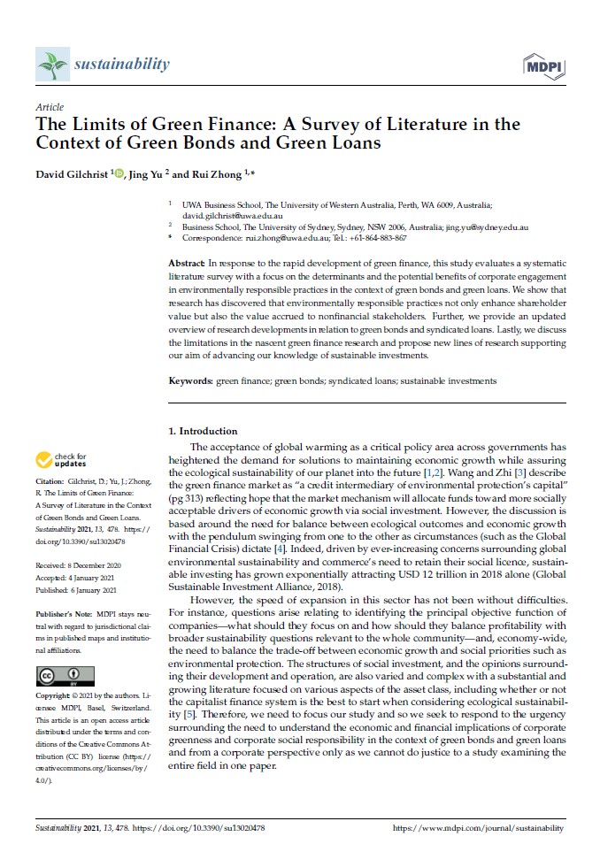 The Limits of Green Finance: A Survey of Literature in the Context of Green Bonds and Green Loans