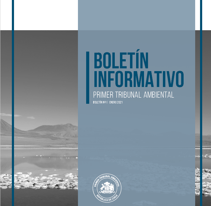 Boletín N°01 enero 2021