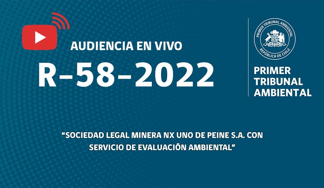 Audiencia R-58-2022 «Sociedad Legal Minera NX Uno de Peine S.A. con Servicio de Evaluación Ambiental»