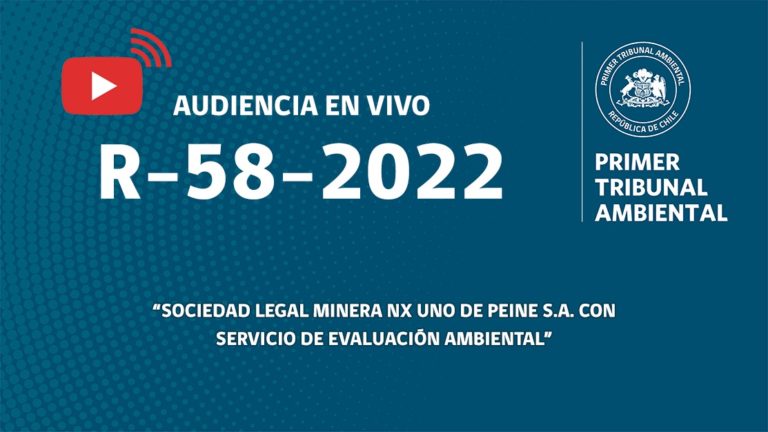 Audiencia R-58-2022 «Sociedad Legal Minera NX Uno de Peine S.A. con Servicio de Evaluación Ambiental»