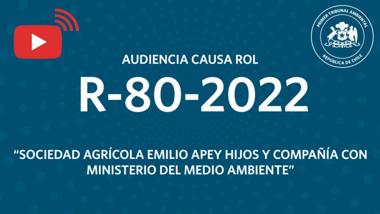 Audiencia R-80-2022 «Sociedad Agrícola Emilio Apey Hijos y Compañía con Ministerio del Medio Ambiente»