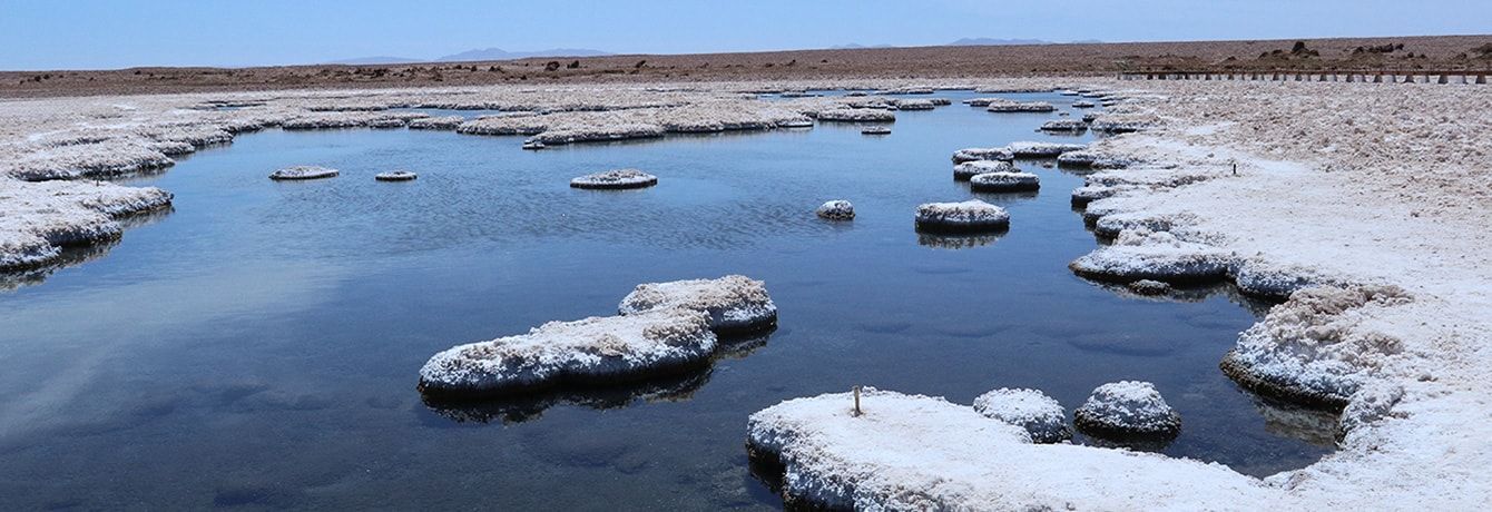 1TA prepara audiencia de reclamación por caso SQM Salar de Llamara